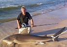 7'11" Bull Shark 7'11" Bull Shark