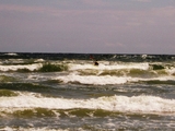 10-13_350.jpg