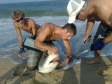 Filename=10.jpg
Filesize=360KB
Dimensions=800x600
Date added=Aug 05, 2009 10.jpg