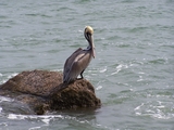 100_0028.jpg