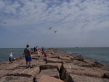 100_0035.jpg