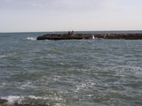 100_0087.jpg