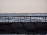 100_0088.jpg