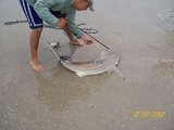 100_0129.jpg