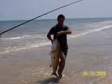 100_0184.JPG