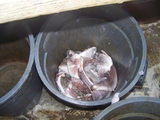 100_1403.jpg
