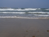 100_1473.jpg