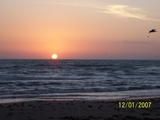 100_1829.jpg