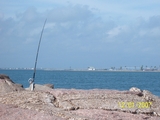 100_1855.jpg