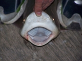 100_6901.JPG