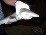 100_6943.JPG