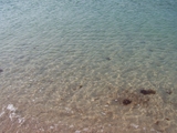 100_6958.JPG