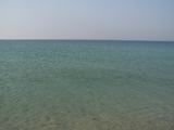 100_6959.JPG