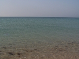 100_6961.JPG