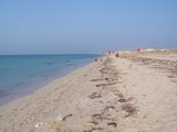 100_6962.JPG