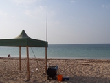 100_6963.JPG