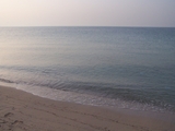 100_6964.JPG