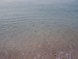 100_6965.JPG