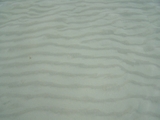 100_6996.JPG