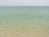 100_7000.JPG