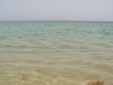 100_7004.JPG
