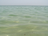 100_7005.JPG