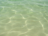 100_7006.JPG