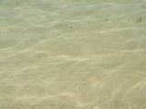100_7009.JPG