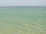 100_7011.JPG