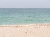 100_7018.JPG