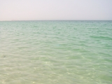 100_7028.JPG