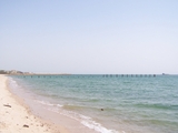 100_7031.JPG
