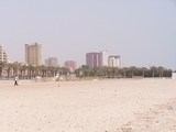 100_7033.JPG