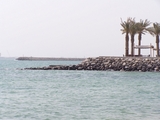 100_7034.JPG