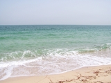 100_7035.JPG