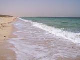 100_7036.JPG