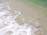 100_7041.JPG