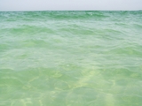 100_7051.JPG