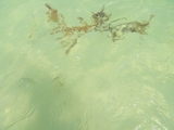 100_7070.JPG