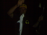 11062008040.jpg