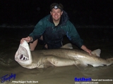 Filename=110kg_Ragged_Tooth_Shark_Large_Web_view.jpg
Filesize=226KB
Dimensions=640x480
Date added=Oct 26, 2008 110kg_Ragged_Tooth_Shark_Large_Web_view.jpg