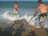 Filename=13.jpg
Filesize=348KB
Dimensions=800x600
Date added=Aug 05, 2009 13.jpg