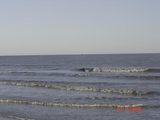 170.JPG