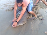 Filename=4~1.jpg
Filesize=297KB
Dimensions=800x600
Date added=Aug 05, 2009 4~1.jpg