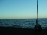 4-19-08_Packery_002.jpg