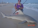 6_10_BULL_6-28-09.JPG