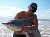 Filename=6__bullshark_SPI_2007.jpg
Filesize=312KB
Dimensions=800x600
Date added=Mar 13, 2008 6__bullshark_SPI_2007.jpg