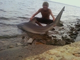 6ft_8in_bull_at_papa_s.JPG
