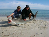 7ft_6in_Sandbar_Shark.jpg