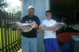 April12Catfish.JPG